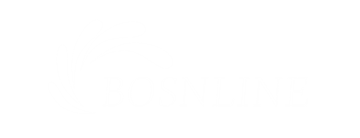 Wuxi  Bosenglian  Mezinárodní  Obchod  Co., Ltd.